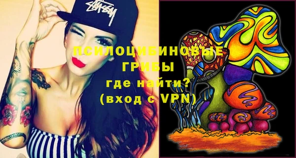 молекула духа Балахна