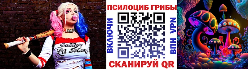 Псилоцибиновые грибы мицелий  сколько стоит  Биробиджан 